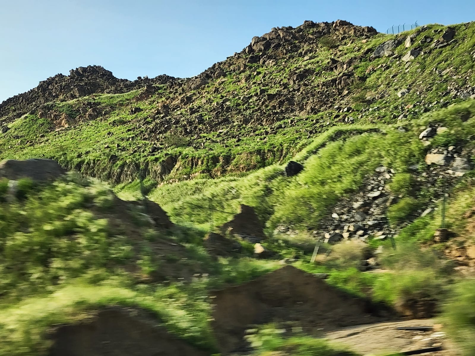 WhatsApp Image 2023-01-17 at 11.02.51 AM (2).jpeg